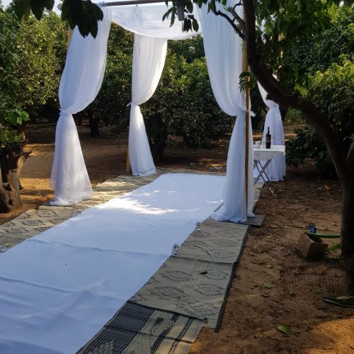 WhatsApp Image 2023-07-04 at 14.43.57