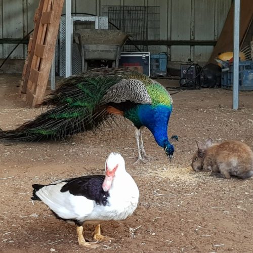 WhatsApp Image 2023-07-04 at 14.47.38