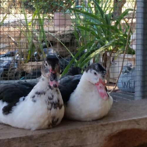 WhatsApp Image 2023-07-04 at 14.47.39 (1)